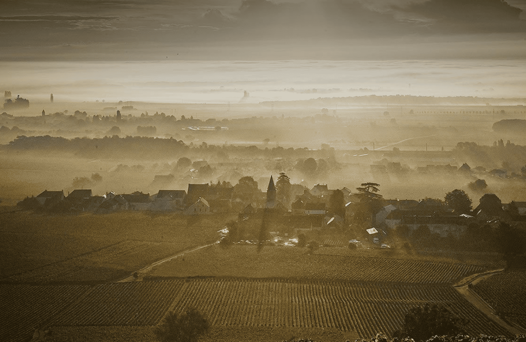 Wijnen Domaine Méo-Camuzet