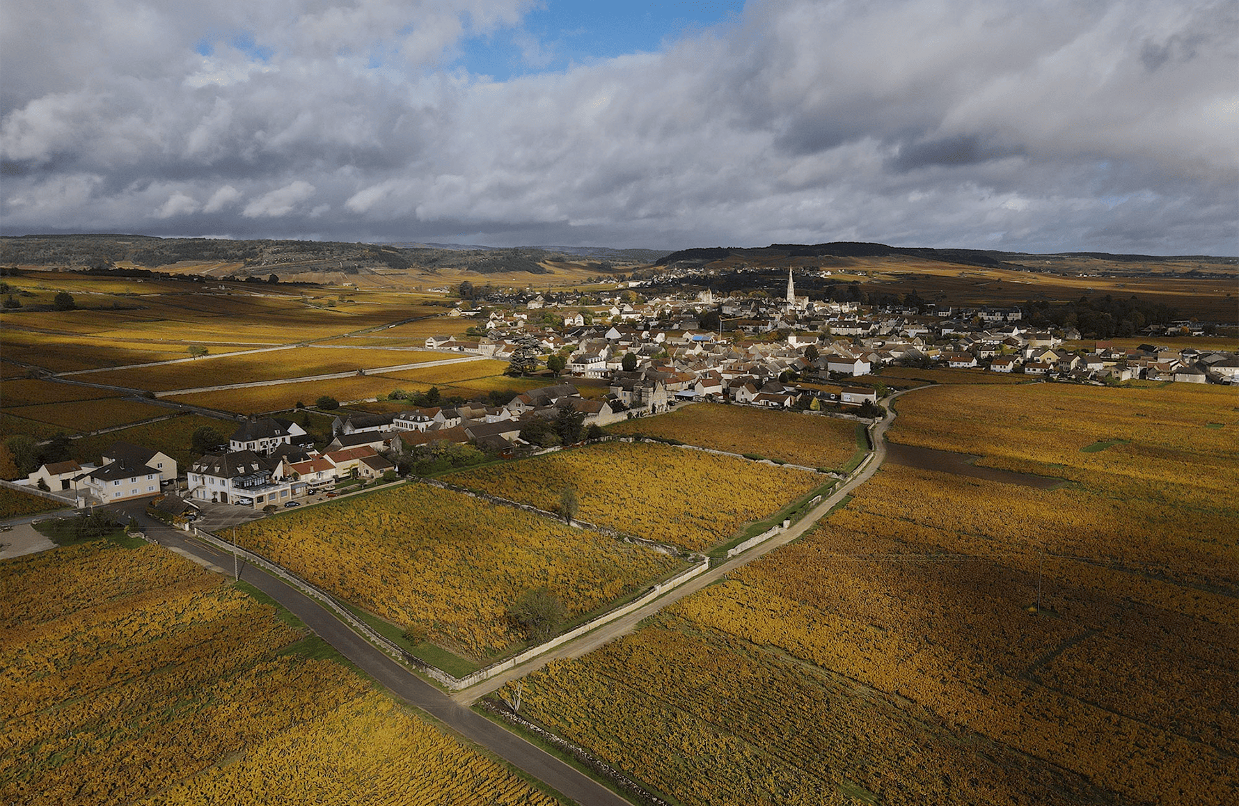 Vins Domaine Michelot