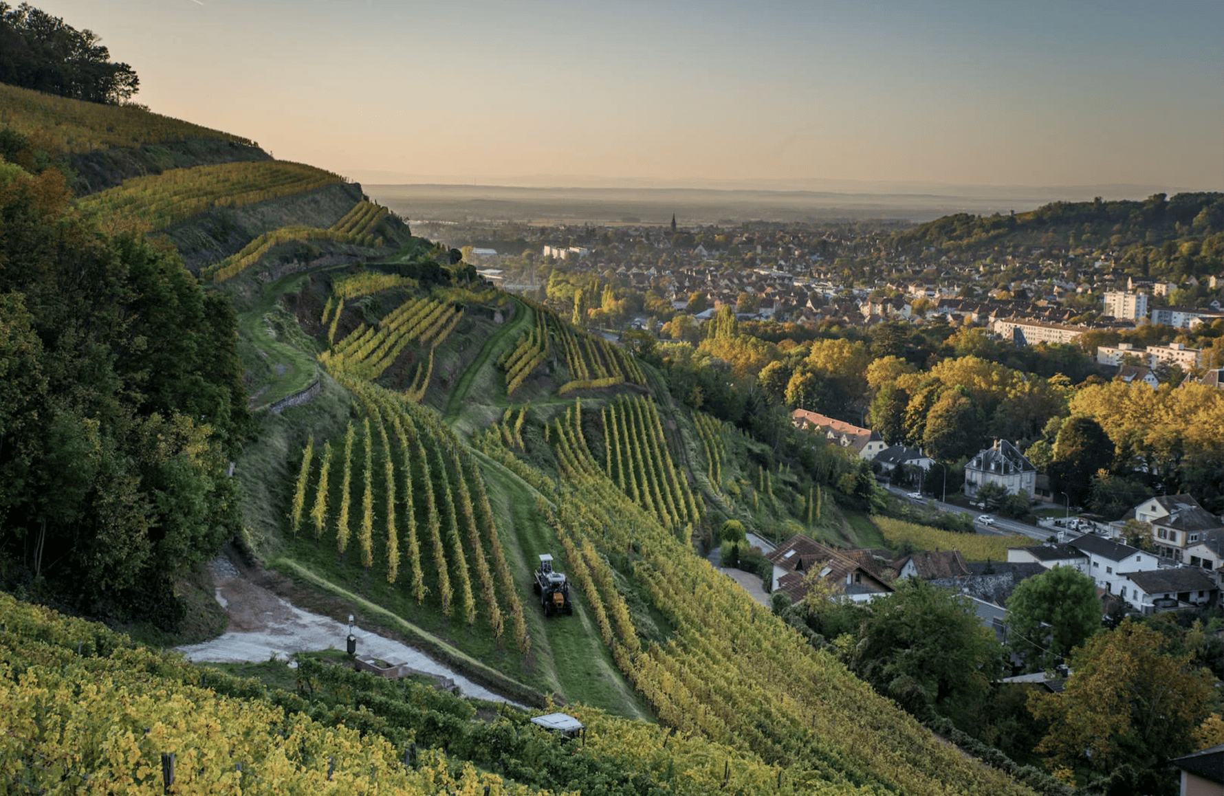 Wines Schlumberger Estate