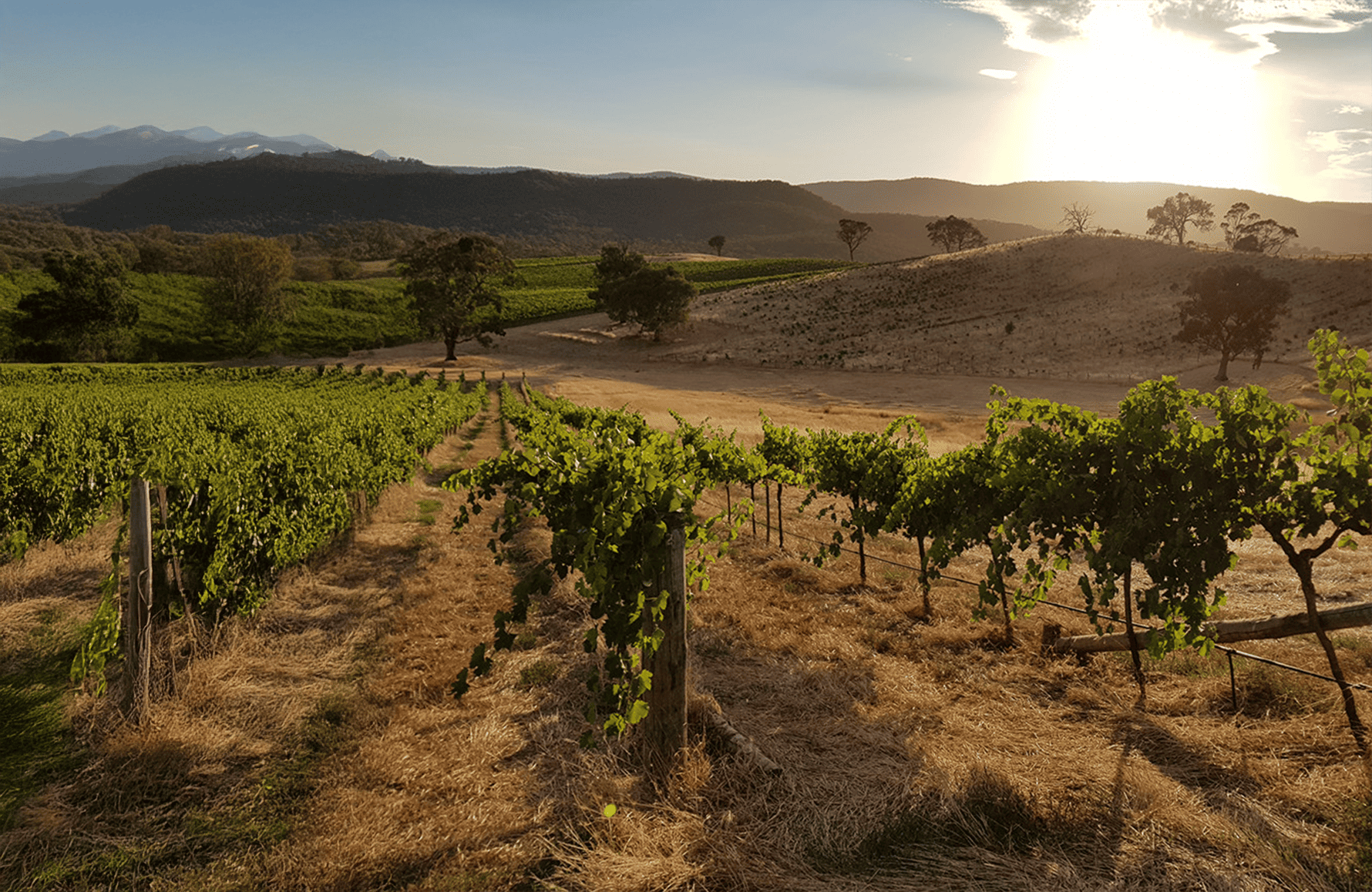 de geschiedenis van Dos Lusiadas - Portugal