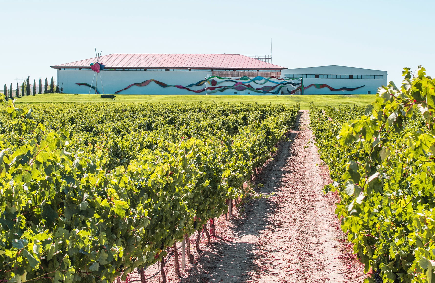 de geschiedenis van Dominio de Pingus - Spanje