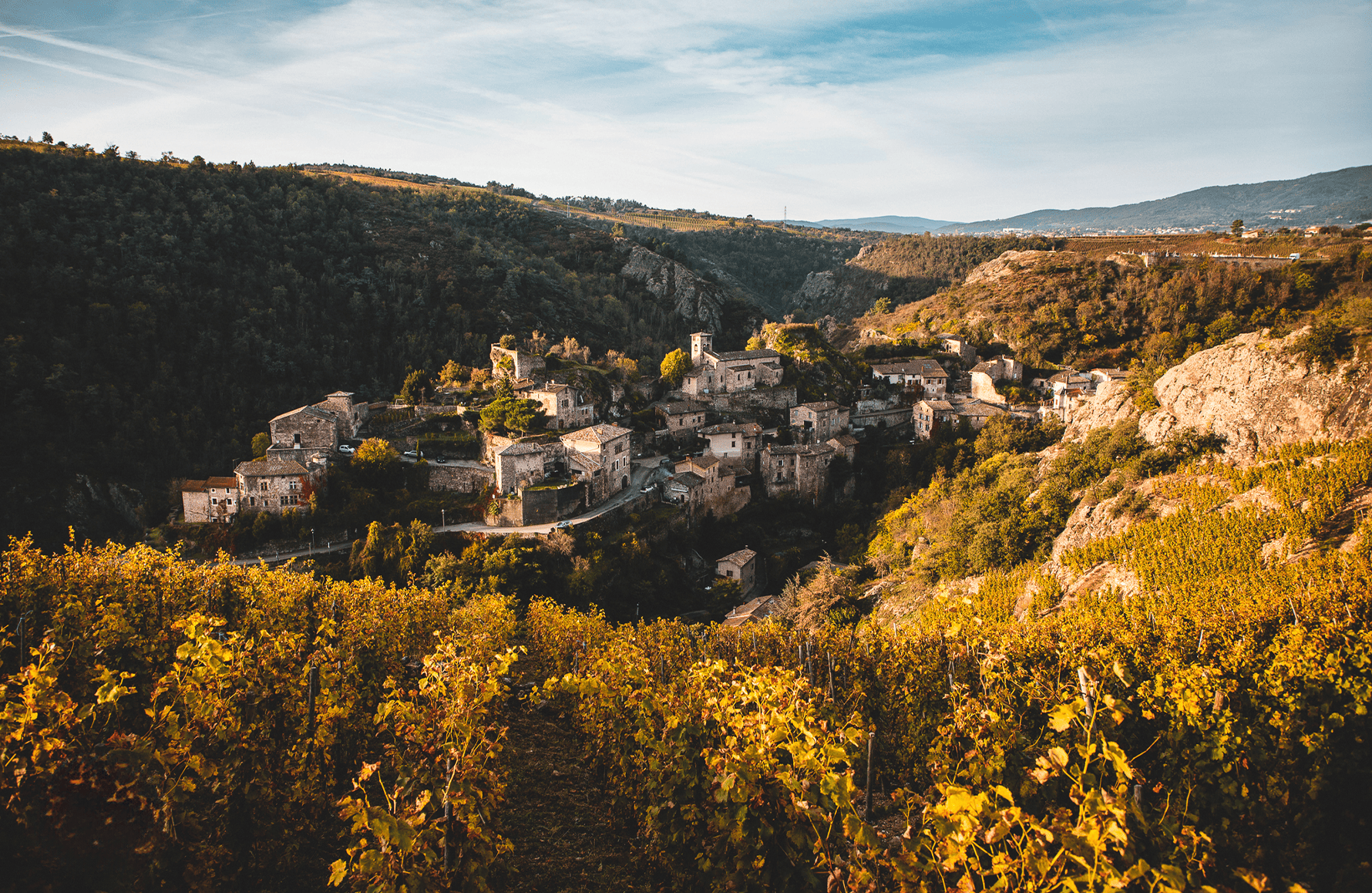 de geschiedenis van Domaine Pierre Gaillard