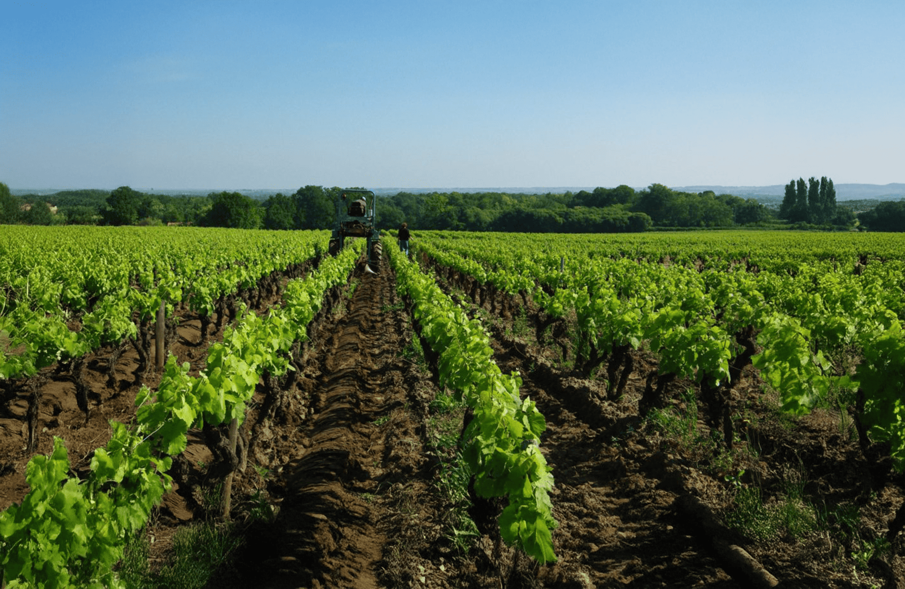 the story of Domaine Jo Landron