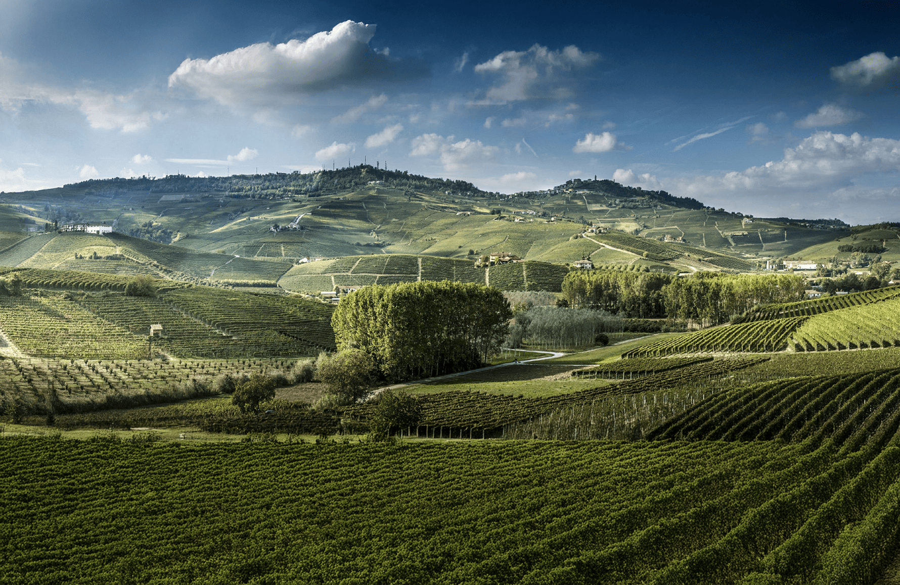 the story of Luciano Sandrone - Italy