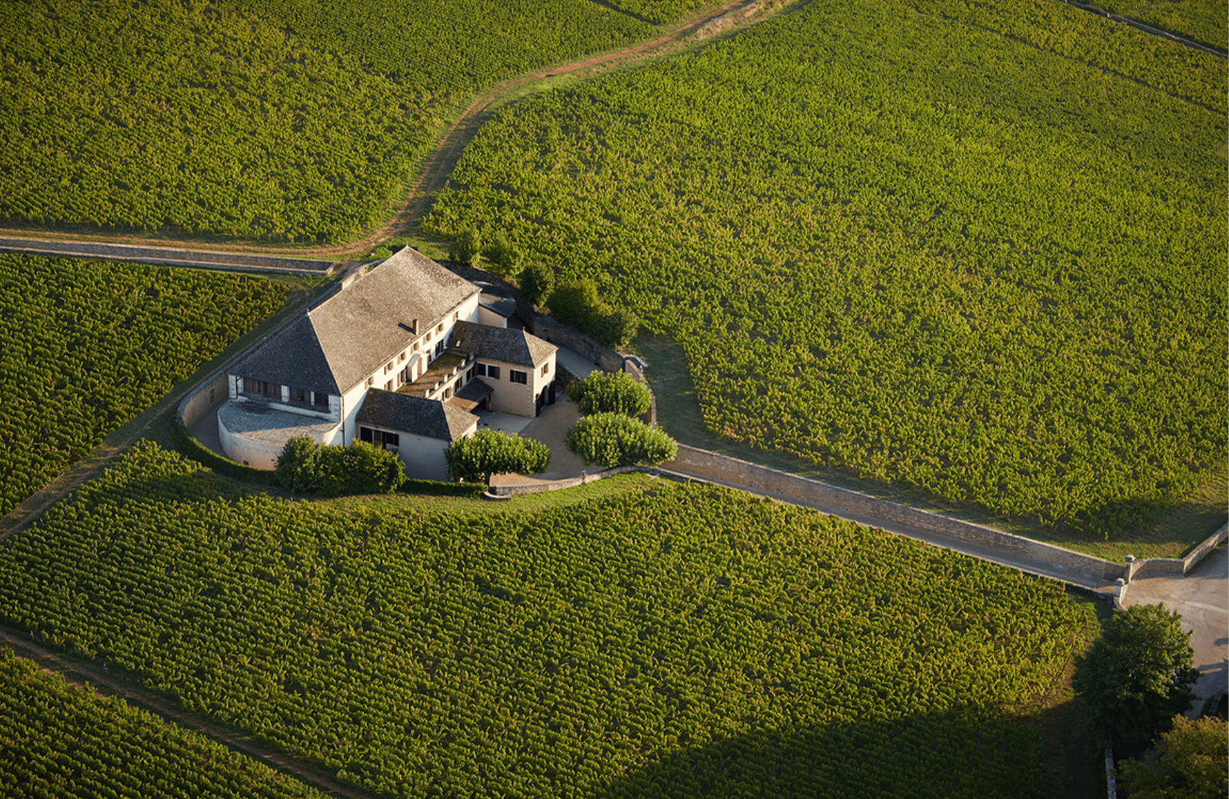 Vins Maison Louis Latour