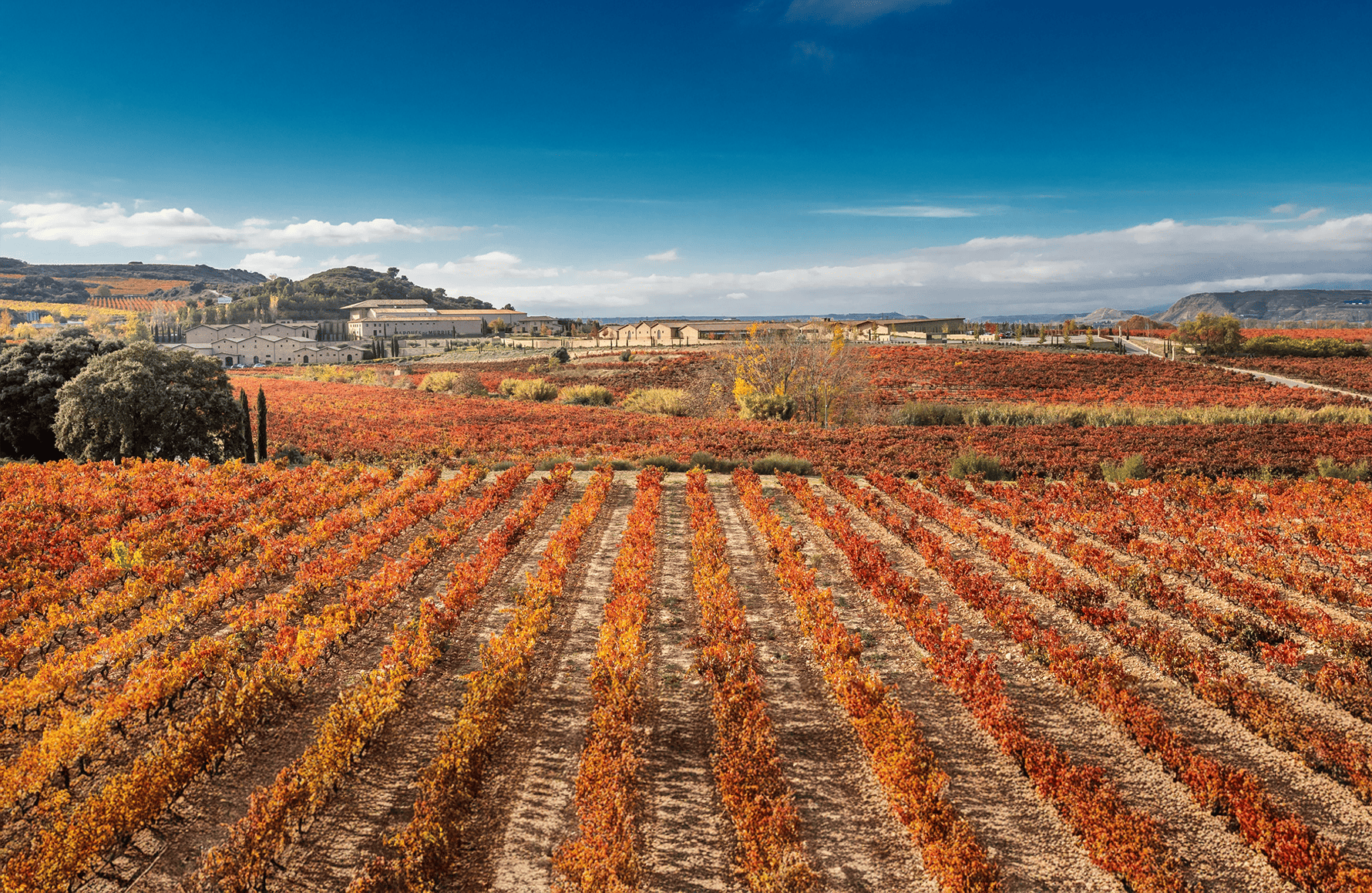 Wijnen Marques de Murrieta - Spanje