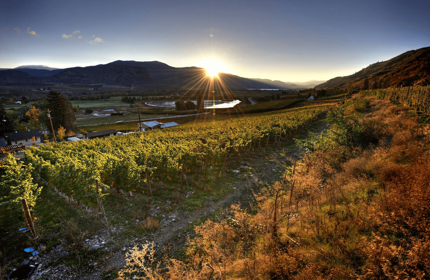 Vins Maverick Wines - Australie