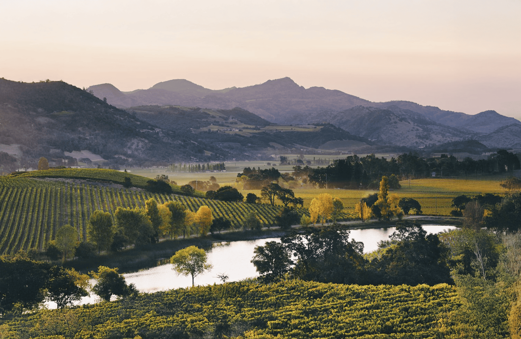 Vins Quintessa Etats-Unis