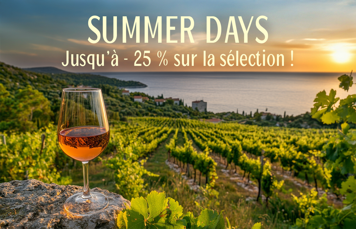 de geschiedenis van ZOMERDAGEN